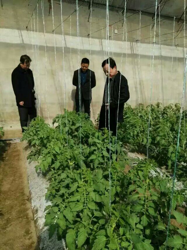 與天津農業開發有限公司簽訂長期供貨合同