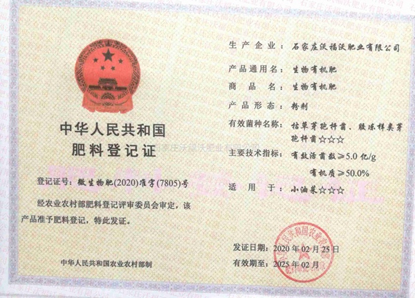 資質榮譽 (1)