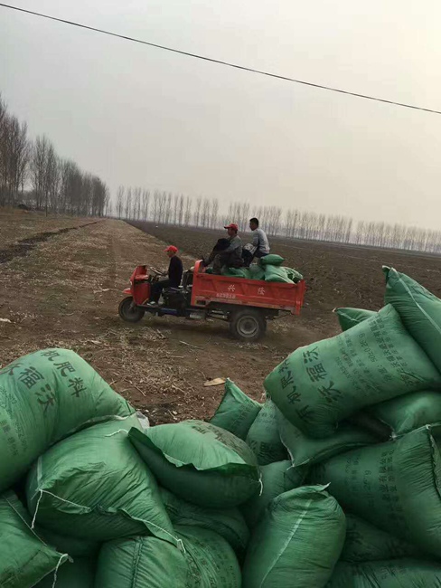 項目肥發到了農戶手中