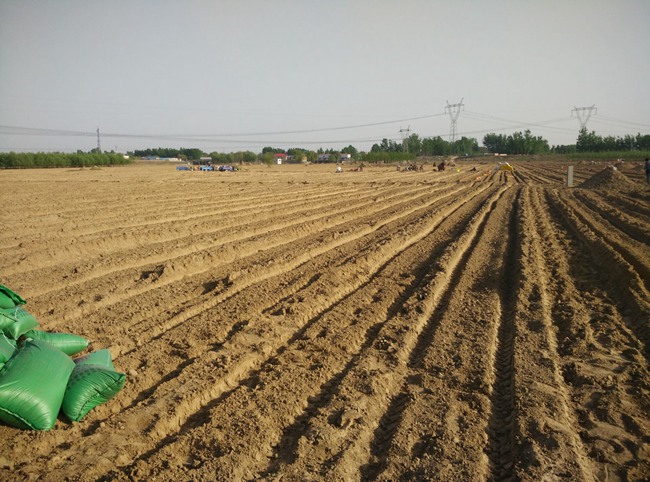 與四川種植農業戶簽訂500噸