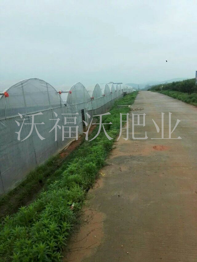 與河南種植大棚建立長期合作關系
