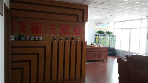 公司一角