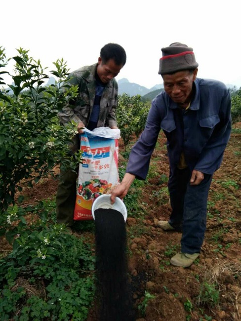菌動力施肥
