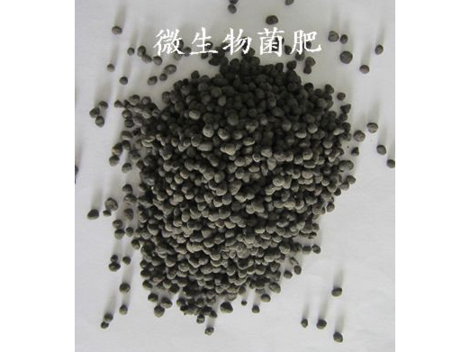 微生物菌肥 