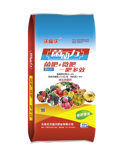 菌動力