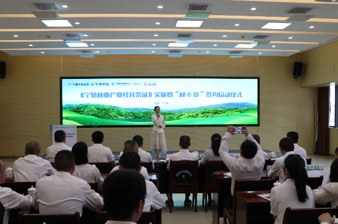 憑“票證”融資 寧德推出“林e貸”助推林業產業高質量發展